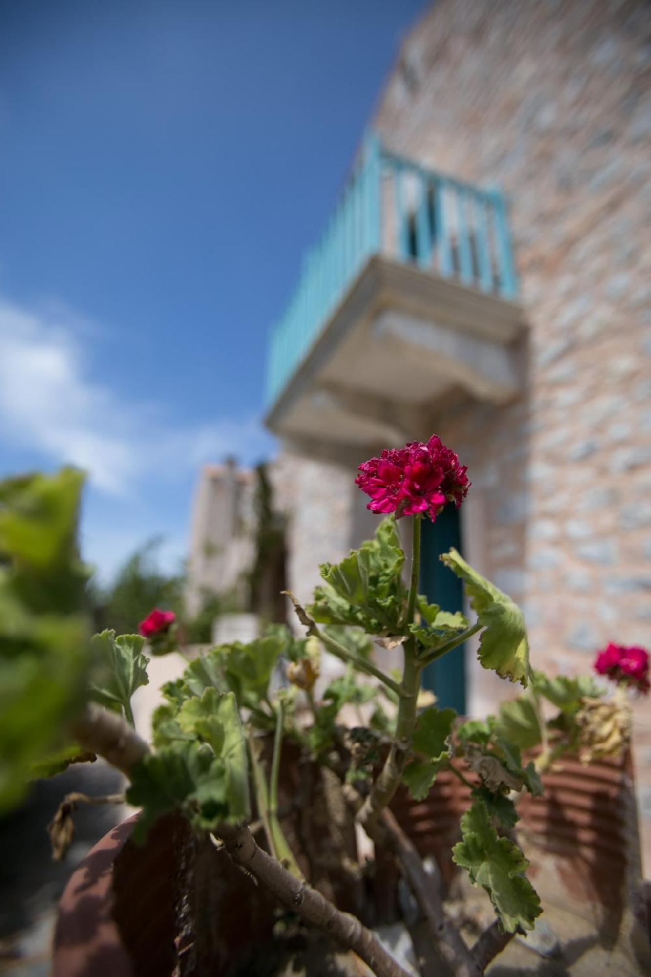 Ktima Karageorgou Otel Areopoli Dış mekan fotoğraf